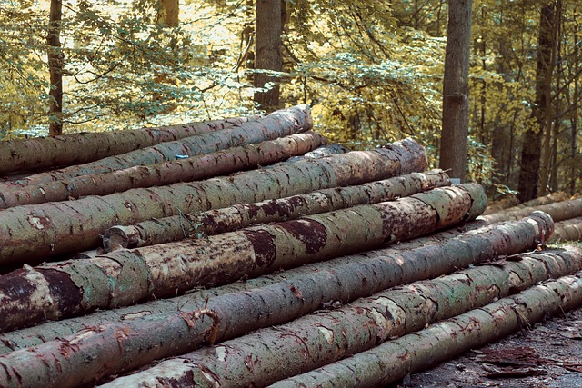 Duurzaam plaatmateriaal en constructiehout meer in trek