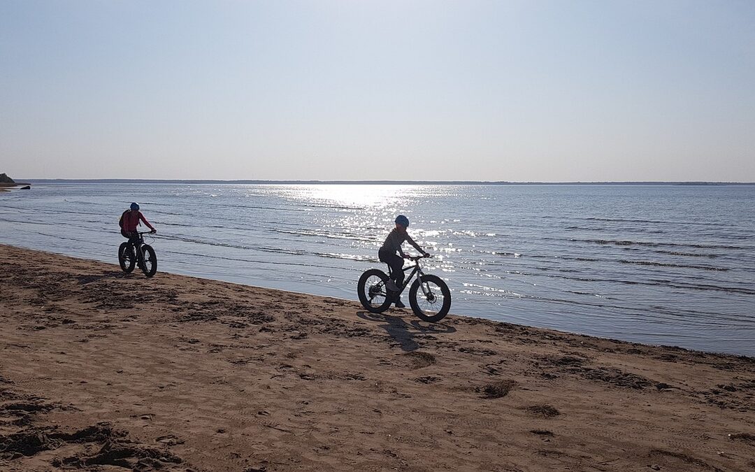 Fatbikes; groene revolutie of gevaar op de weg?