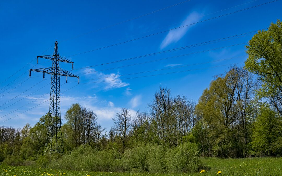 Hoe weet je of groene energie echt groen is?